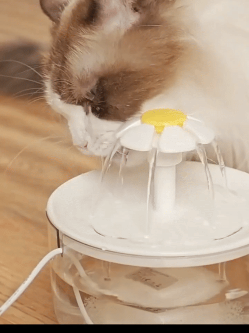 WhisperSoft Cat Water Fountain