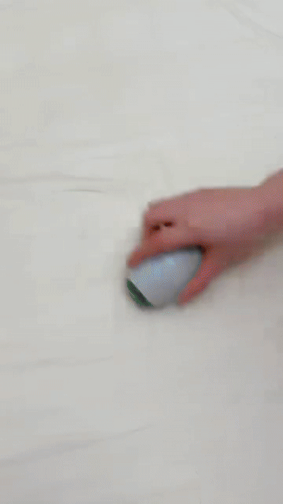 Swift Clean Pet Hair Roller